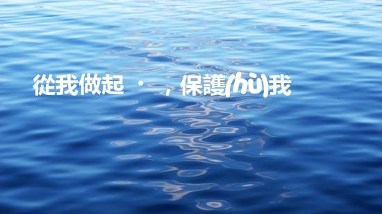 從我做起，保護(hù)我們的地球